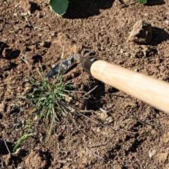 Leonard Cape Cod Weeder With 60 Wood Handle -Gardening Supplies acw60 3