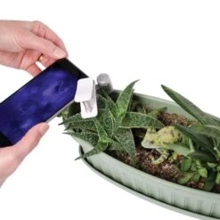 Active Eye Universal Mobile Phone Microscope -Gardening Supplies aem60c 5