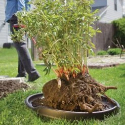 Leonard GardenGlide Transporter -Gardening Supplies ag1 6 1