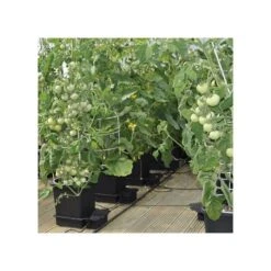 AutoPot 4-Pot Watering System -Gardening Supplies apws001 2