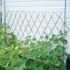 Natural Bamboo Expandable Trellis 2 Natural Bamboo Expandable Trellis -Gardening Supplies bat4 9