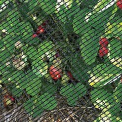 Deluxe Bird Barricade 14ft X 14ft