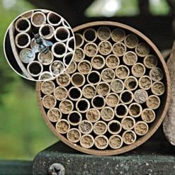 Orchard Mason Bee 52 Tube Nesting Kit