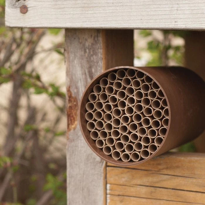 Orchard Mason Bee 52 Tube Nesting Kit 6 Orchard Mason Bee 52 Tube Nesting Kit - Image 4
