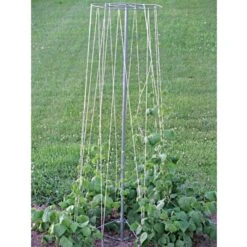 72in Tall Bean Tower -Gardening Supplies bt72 3