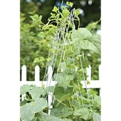 Cucumber Plant Support Frame, 48-Inch Galvanized -Gardening Supplies cc48 3