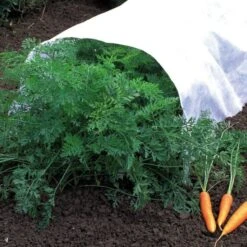 Light Weight 5-Ounce Crop Cover, 6 Feet X 50 Feet