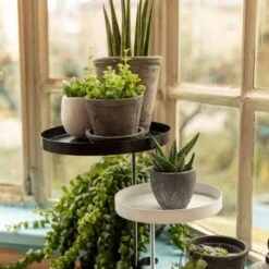 Window Dressing Plant Stand Clamps, 2 Pack -Gardening Supplies clmt2