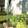 Deer-Terrent Netting Rolls, 330' X 60" -Gardening Supplies dtrl lg