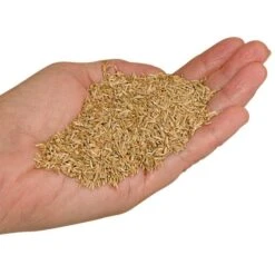 Fairlawn Blue And Rye Mix 25 Lb Bag -Gardening Supplies fair25 2 1