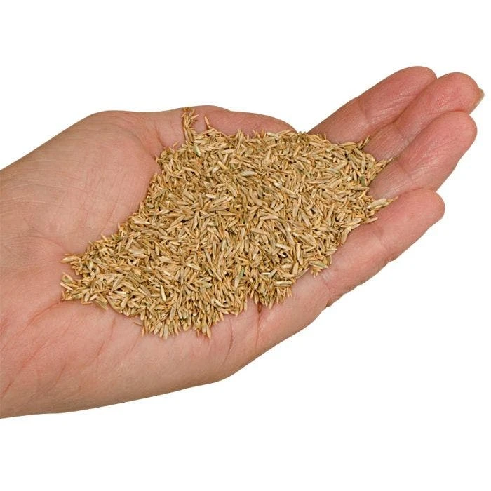 Fairlawn Blue And Rye Mix 5 Lb Bag 5 Fairlawn Blue And Rye Mix 5 Lb Bag - Image 3