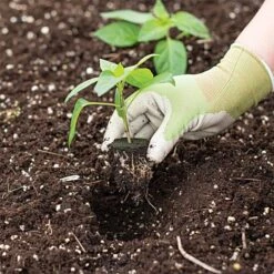 Grow Plugs 1400 Case -Gardening Supplies fp1400 5