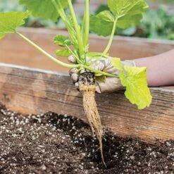 Grow Plugs 1400 Case -Gardening Supplies fp1400 6