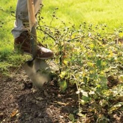 Leonard Forged Round Point Shovel With 48in Ash Handle -Gardening Supplies fw4 3