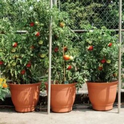 Daisy Rain Sprinkler Pots Set Of 3 14 Daisy Rain Sprinkler Pots Set Of 3 -Gardening Supplies g5011 1