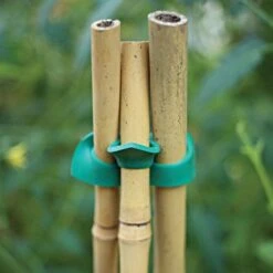 Connectors For Bamboo Stakes Green Pack Of 500 -Gardening Supplies gc500g 2