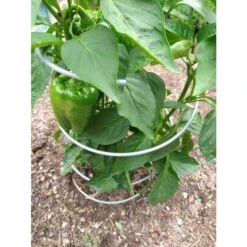 Pep-UP Pepper Support, 6 Pack -Gardening Supplies gipu2100 2