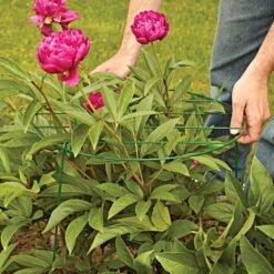 Commercial Steel Grid Plant Brace, 25in X 16in -Gardening Supplies gpb 2