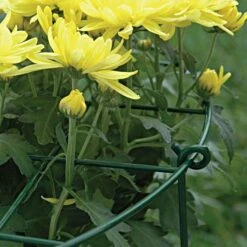 Commercial Steel Grid Plant Brace, 25in X 16in -Gardening Supplies gpb 3