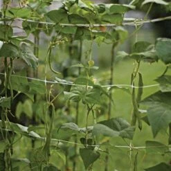 Hortonova Trellis Netting, 4 Feet X 100 Feet -Gardening Supplies htn4100 12