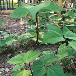 Hortonova Trellis Netting, 4 Feet X 100 Feet -Gardening Supplies htn4100 17