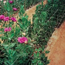 Hortonova Trellis Netting, 4 Feet X 100 Feet -Gardening Supplies htn4100 9