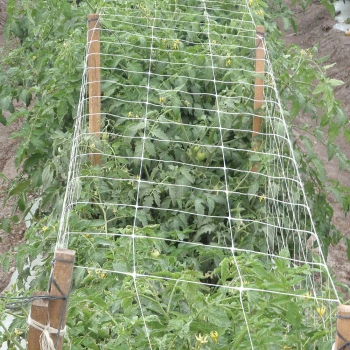Hortonova Trellis Netting, 4 Feet X 50 Feet 4 Hortonova Trellis Netting, 4 Feet X 50 Feet - Image 2