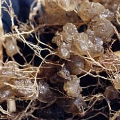 Soil Moist 3 Lb Bulk Jug 7 Soil Moist 3 Lb Bulk Jug -Gardening Supplies jcd030sm 2