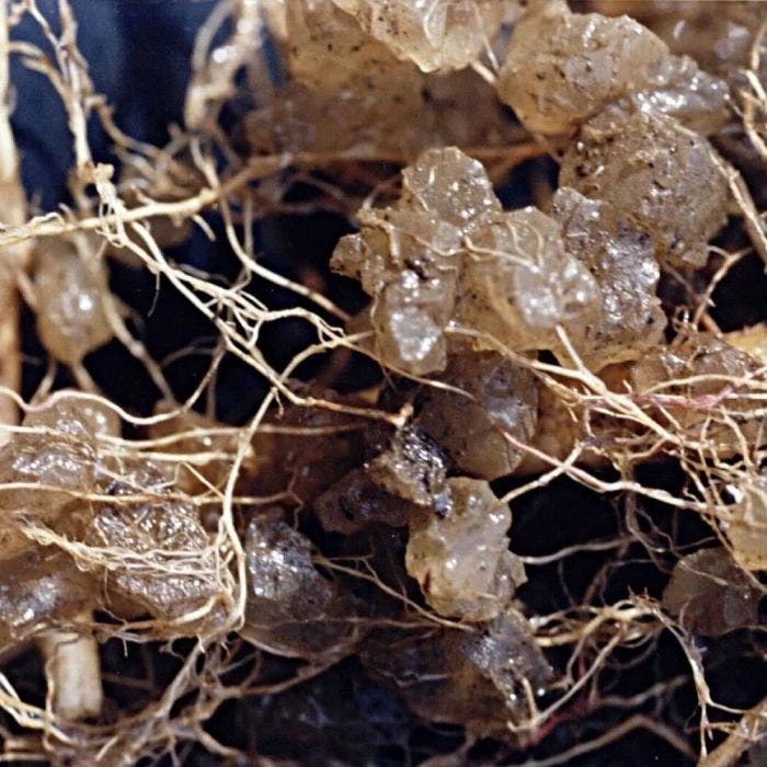 Soil Moist 3 Lb Bulk Jug 5 Soil Moist 3 Lb Bulk Jug - Image 3