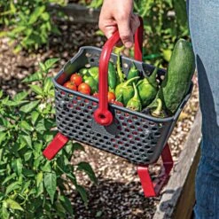 Kajo Mod Hod, Small -Gardening Supplies kaj 4 live horz carrying