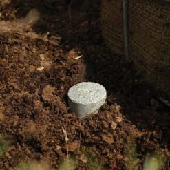 Leonard 10g Fertilizer Tablets For Tree Planting, 2 Year Controlled Release (20-10-5) -Gardening Supplies lpt10 3 1