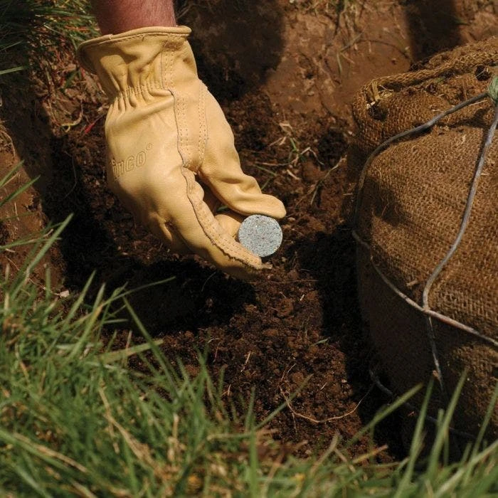 Leonard 12g Fertilizer Tablets For New Tree Planting, 1 Year Controlled Release (12-17-17) 4 Leonard 12g Fertilizer Tablets For New Tree Planting, 1 Year Controlled Release (12-17-17) - Image 2