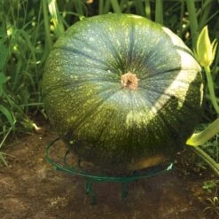 Melon And Squash Cradles Set Of 6 -Gardening Supplies mcg6 5