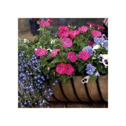MagniMoist U Trim 40 Inch X 60 Inch Liner Sheet 8 MagniMoist U Trim 40 Inch X 60 Inch Liner Sheet -Gardening Supplies mml s 2
