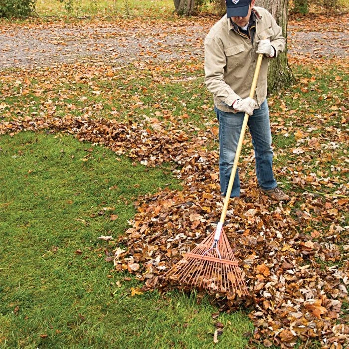 Steel 24 Tine Spring Rake By A.M. Leonard, Lifetime Warranty 5 Steel 24 Tine Spring Rake By A.M. Leonard, Lifetime Warranty - Image 3