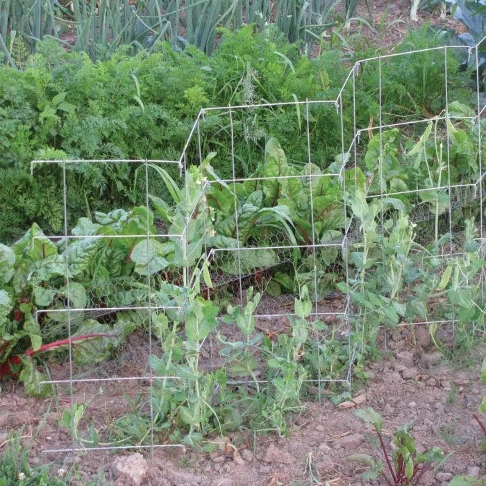 Pea Fence With 6 Panels, 48-Inch, 2-Pack 4 Pea Fence With 6 Panels, 48-Inch, 2-Pack - Image 2