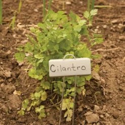 Display Garden Plant Markers, 10in, 25-Pack -Gardening Supplies pmd 10 1 1