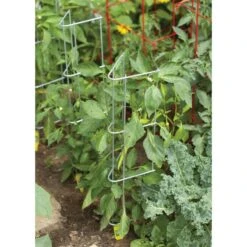 Pepper And Eggplant Support, 30-Inch, 3-Pack 11 Pepper And Eggplant Support, 30-Inch, 3-Pack -Gardening Supplies ps30 1