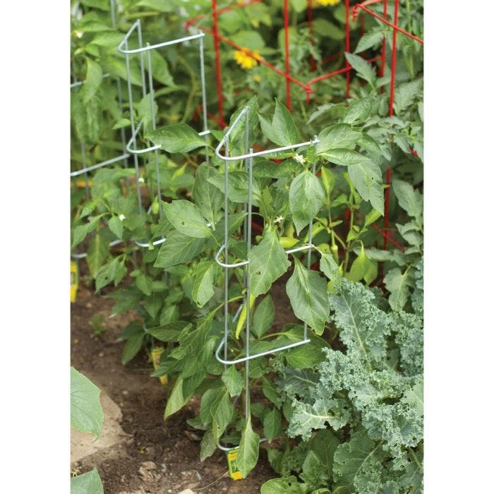 Pepper And Eggplant Support, 30-Inch, 3-Pack 4 Pepper And Eggplant Support, 30-Inch, 3-Pack - Image 2