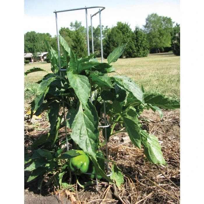 Pepper And Eggplant Support, 30-Inch, 3-Pack 7 Pepper And Eggplant Support, 30-Inch, 3-Pack - Image 5