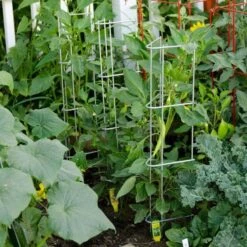 Pepper And Eggplant Support, 30-Inch, 3-Pack 16 Pepper And Eggplant Support, 30-Inch, 3-Pack -Gardening Supplies ps30 6