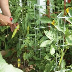 Pepper And Eggplant Support, 30-Inch, 3-Pack 17 Pepper And Eggplant Support, 30-Inch, 3-Pack -Gardening Supplies ps30 7