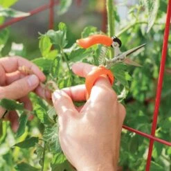 Hands Free Ring Pruner 11 Hands Free Ring Pruner -Gardening Supplies rp2 3
