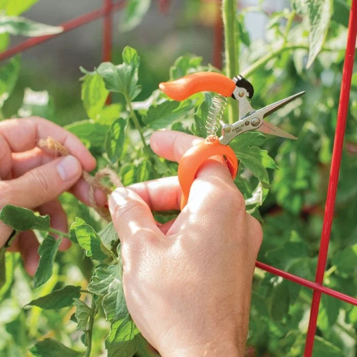 Hands Free Ring Pruner 5 Hands Free Ring Pruner - Image 3