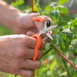 Hands Free Ring Pruner 12 Hands Free Ring Pruner -Gardening Supplies rp2 4