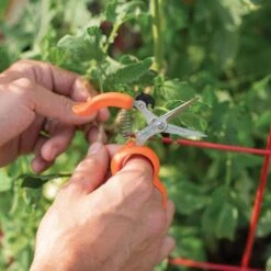 Hands Free Ring Pruner 13 Hands Free Ring Pruner -Gardening Supplies rp2 5