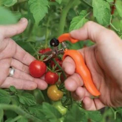 Hands Free Ring Pruner 14 Hands Free Ring Pruner -Gardening Supplies rp2 6