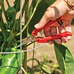 ARS Small Hand Shears 7-inch Length -Gardening Supplies se45 4