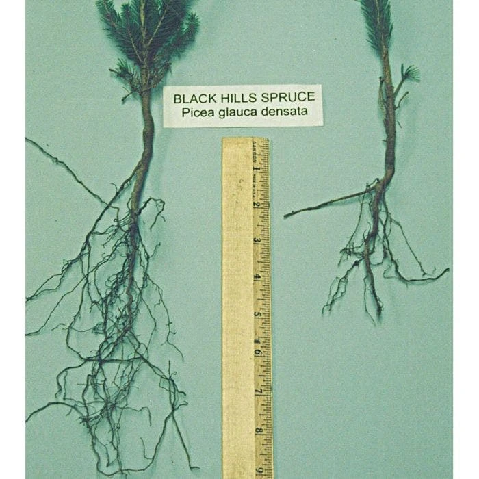 Soil Moist Root Dip Formula 12oz. Jar 4 Soil Moist Root Dip Formula 12oz. Jar - Image 2