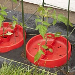 Tomato Crater, 3-pack 20 Tomato Crater, 3-pack -Gardening Supplies tc3 6